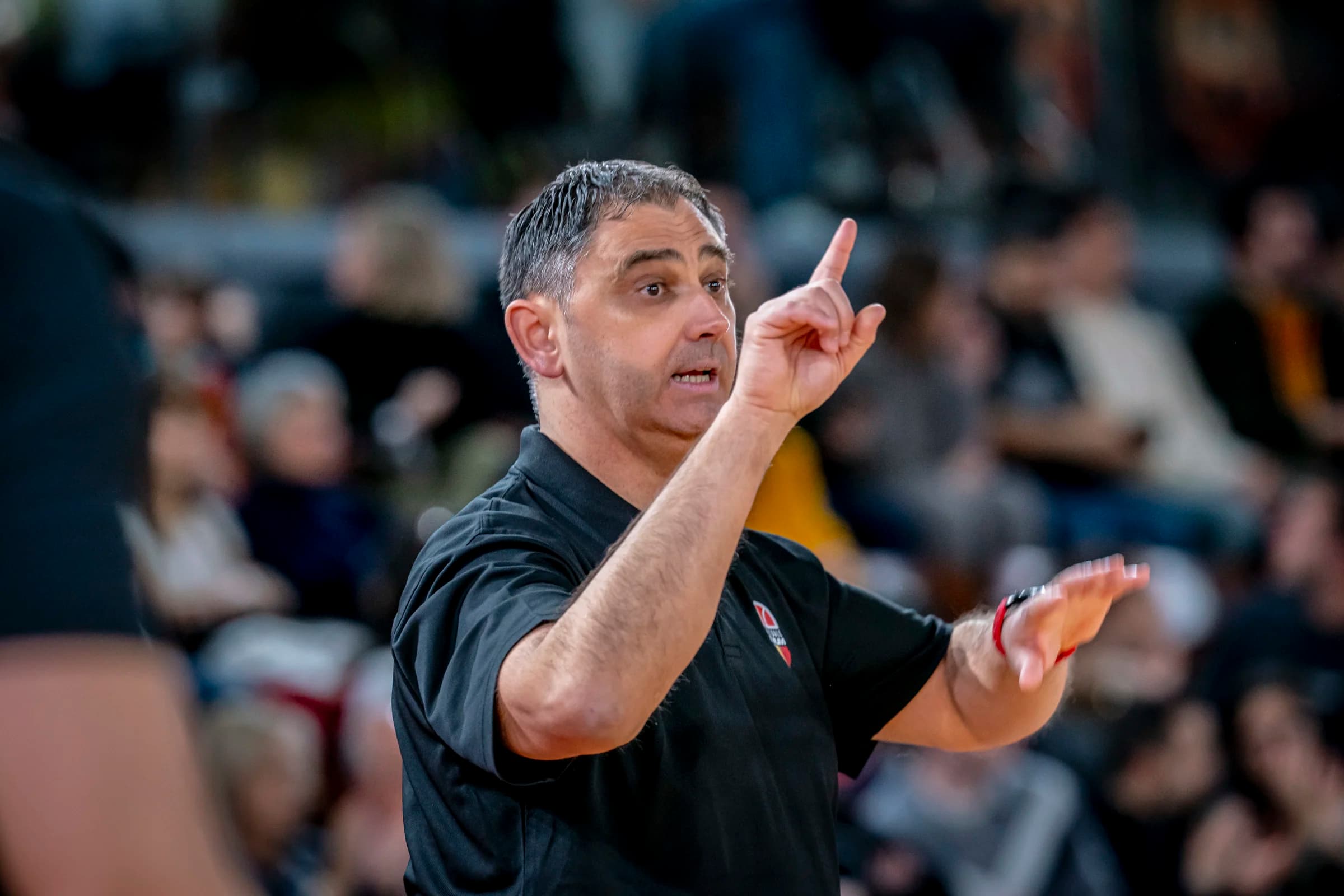 Limoges CSP : une équipe « avec plus d’armes » pour faire « mieux que la saison dernière »