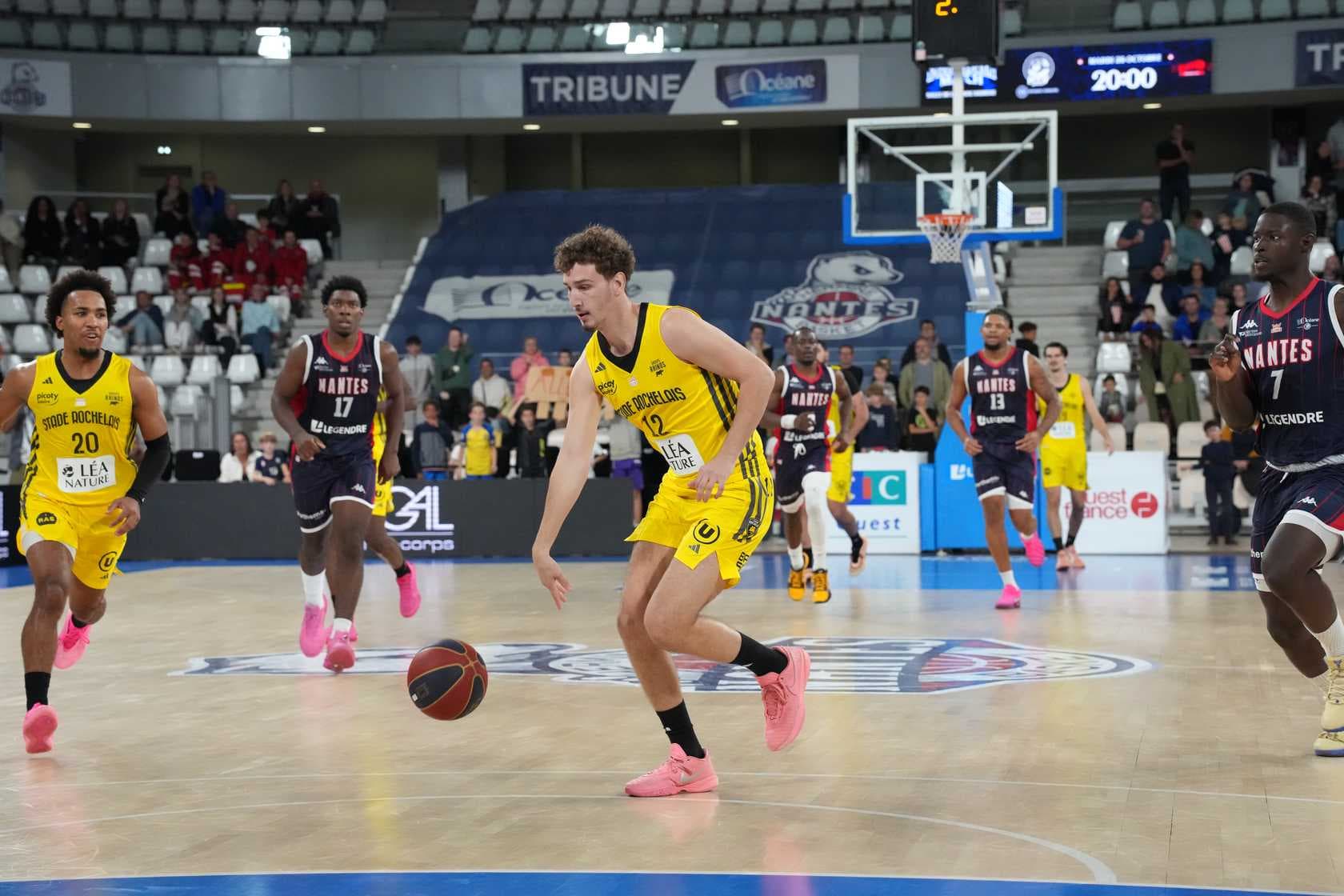 Le Stade Rochelais Basket retrouve Yannis Allard et un effectif complet pour défier Boulazac