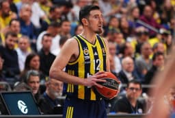 Nando De Colo Fenerbahçe