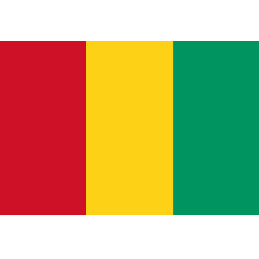 Guinée U17