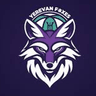 BC Yerevan Foxes
