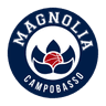 Magnolia Basket Campobasso
