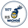 Jelenia Góra Féminin