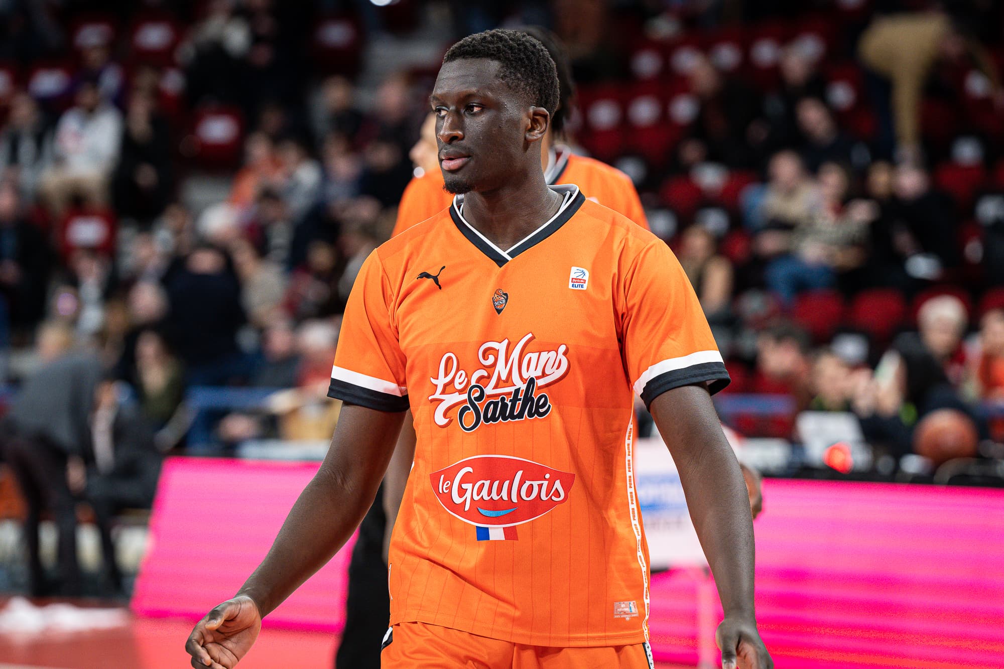 Une action de l’association L214 prévue en marge du match Bourg – Le Mans contre un sponsor du MSB