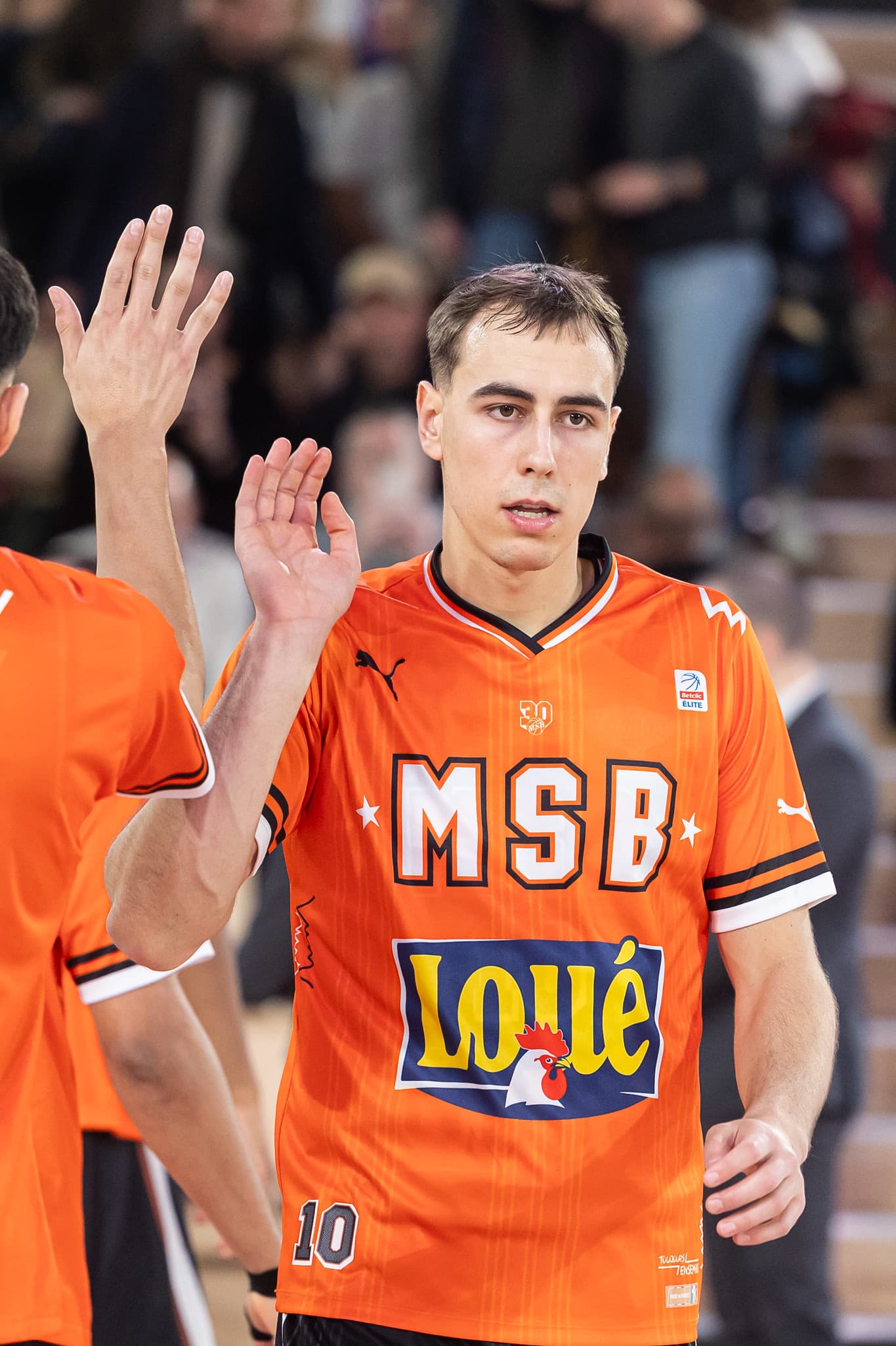 Le Mans : Loïs Grasshoff va être prêté en Pro B, un nouvel adjoint aux côtés de Guillaume Vizade