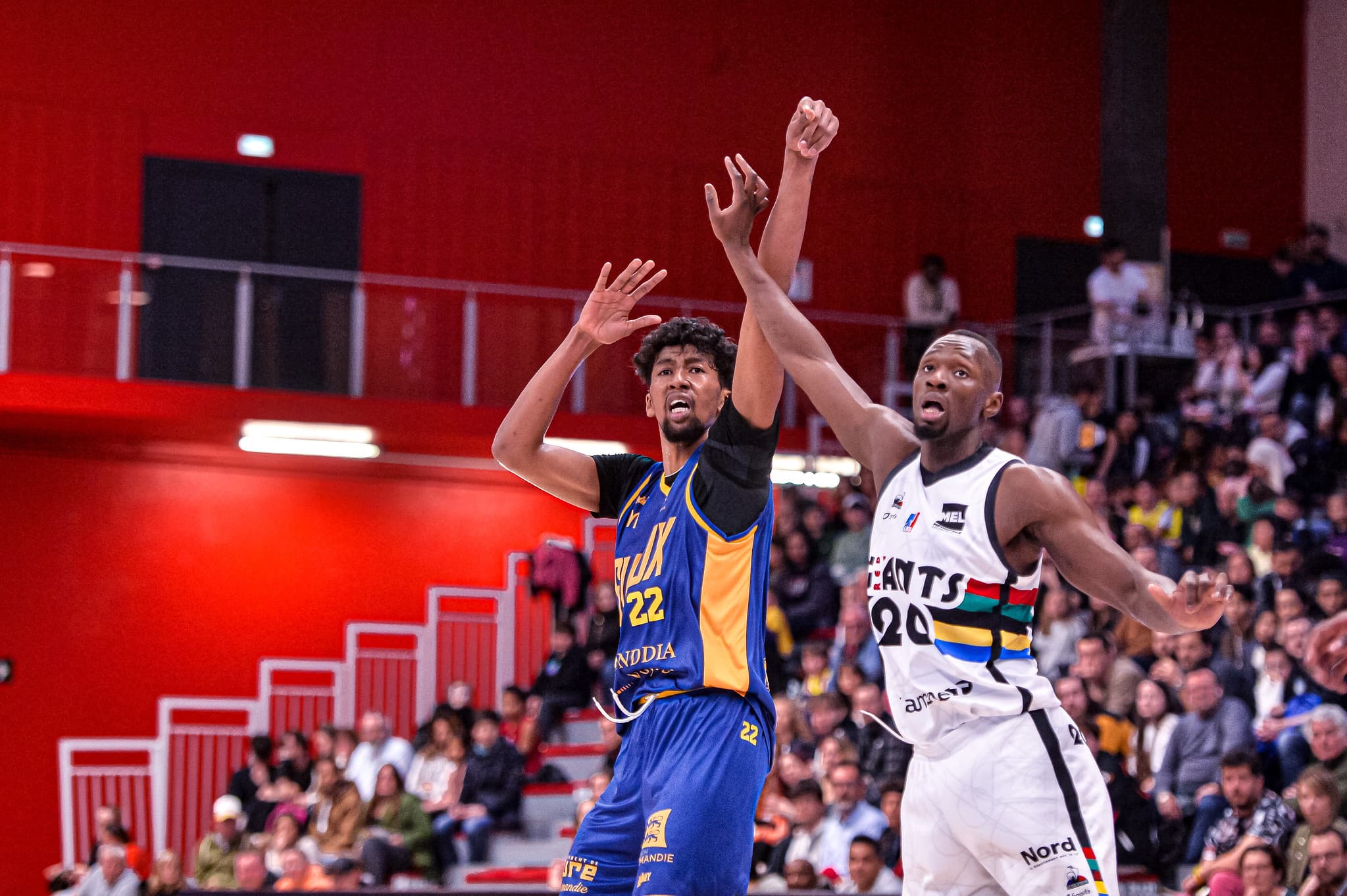 L’Élan Béarnais confirme la signature de Sitraka Raharimanantoanina