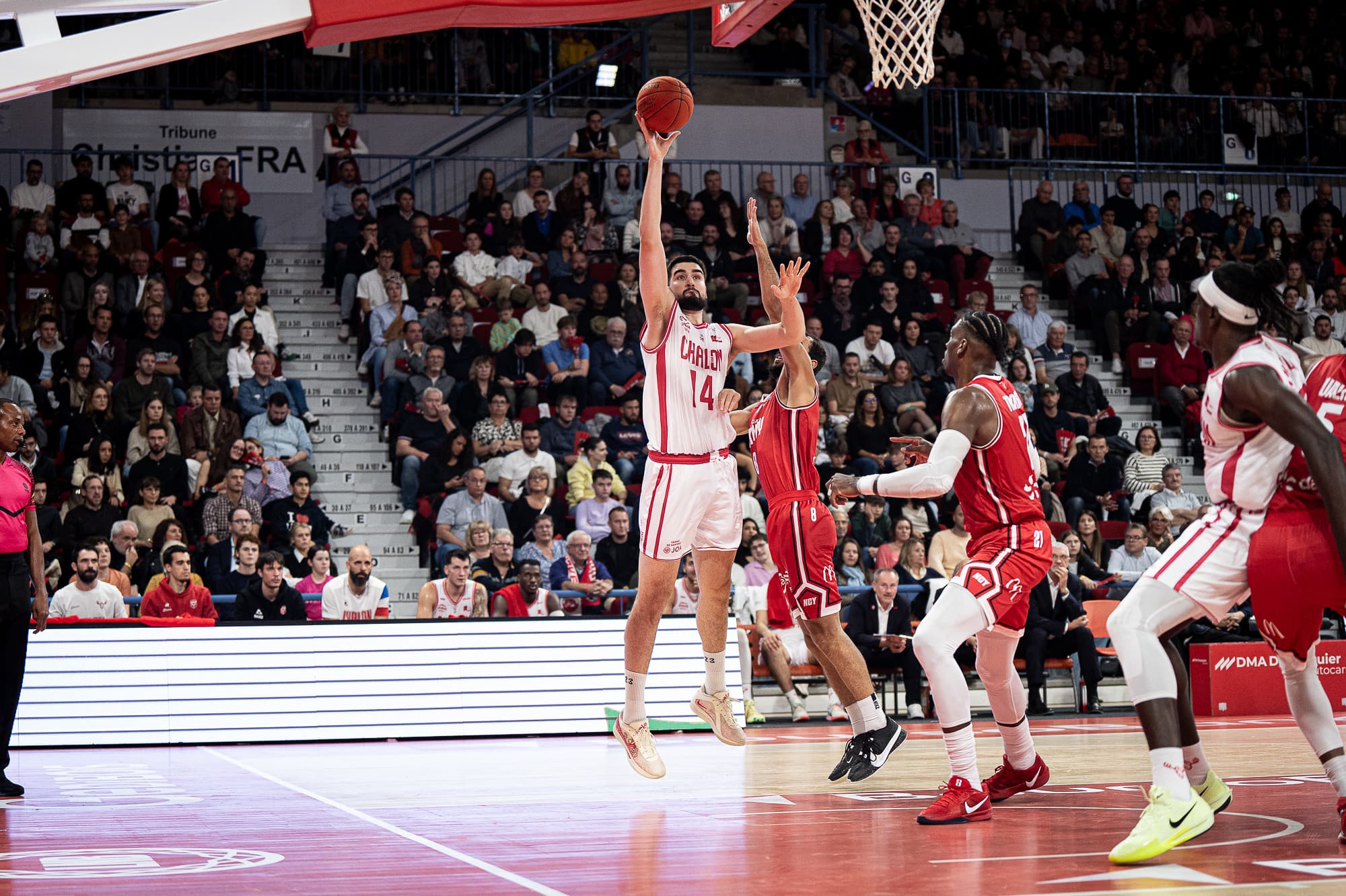 Pas de choix à faire pour l’Élan Chalon : Dusan Ristic out chez l’Alliance Sport Alsace