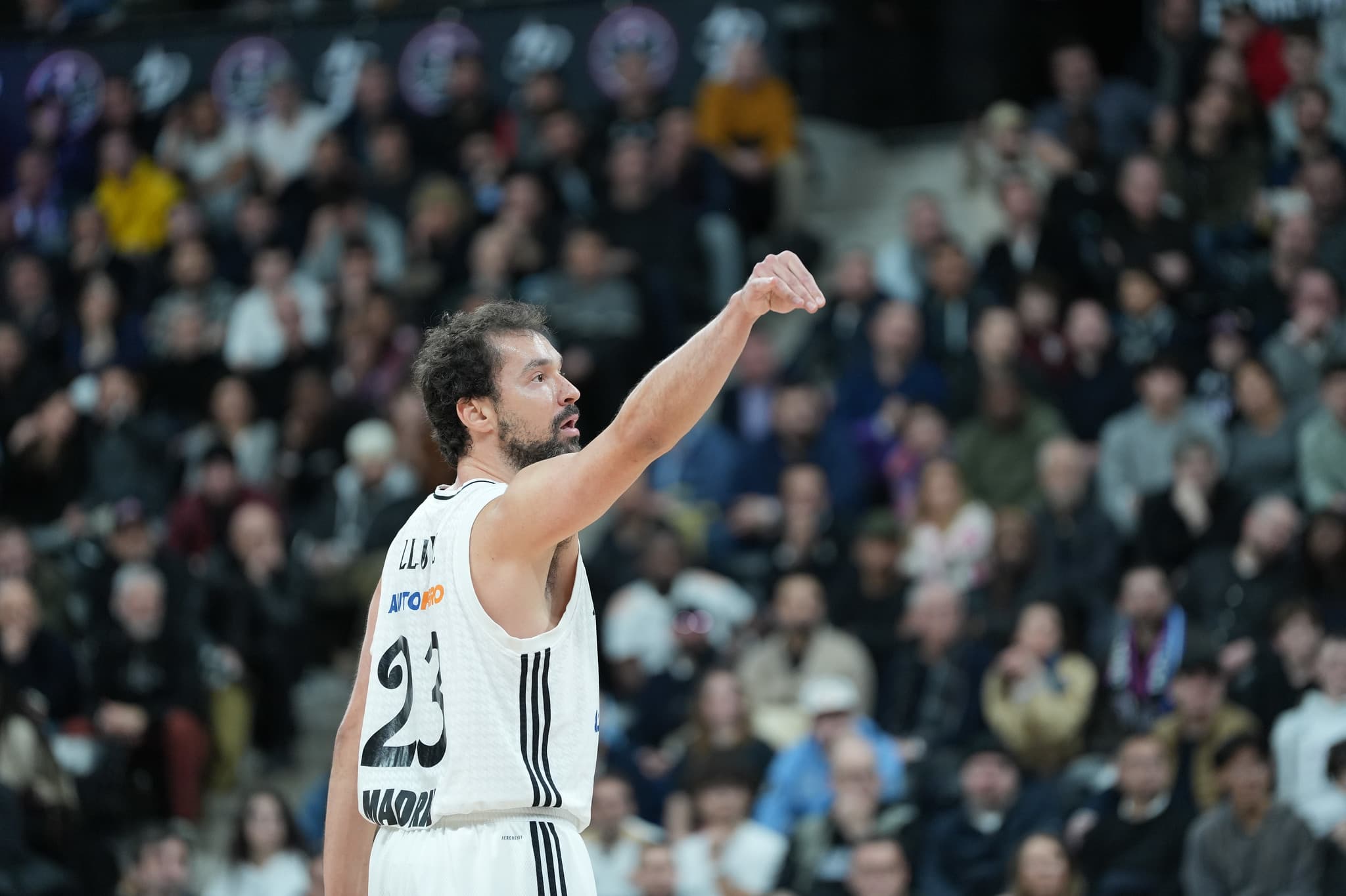 Le capitaine du Real Madrid, Sergio Llull, reste encore fidèle au club merengue