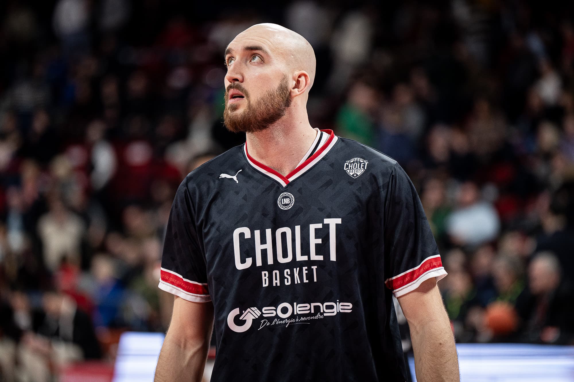 Bastien Vautier (Cholet) pourrait revenir avant la fin de la saison régulière