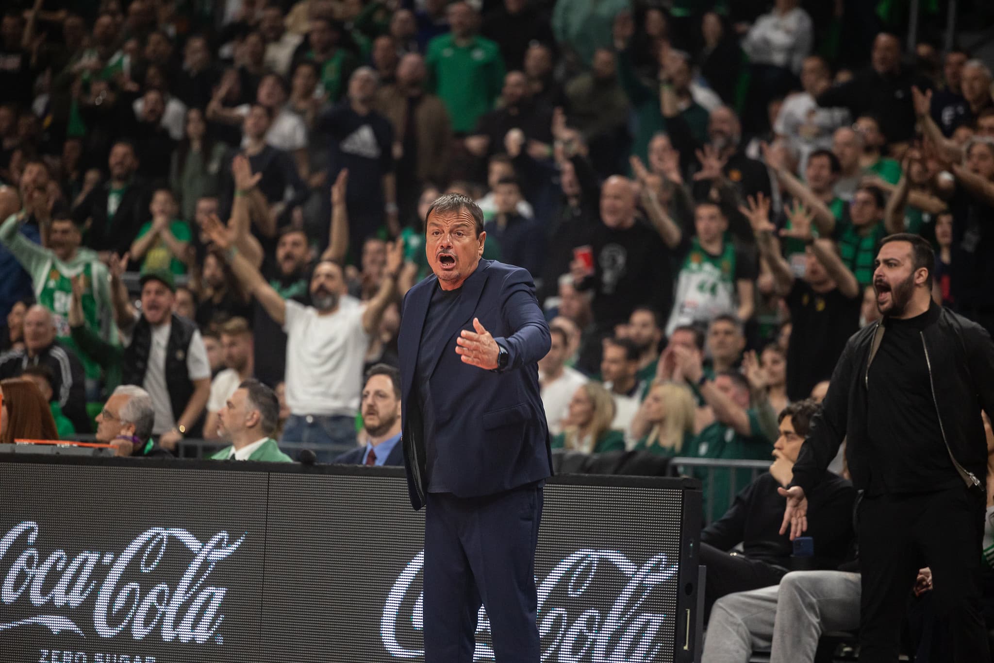 Deux coachs d’EuroLeague à l’amende pour des commentaires déplacés sur l’arbitrage