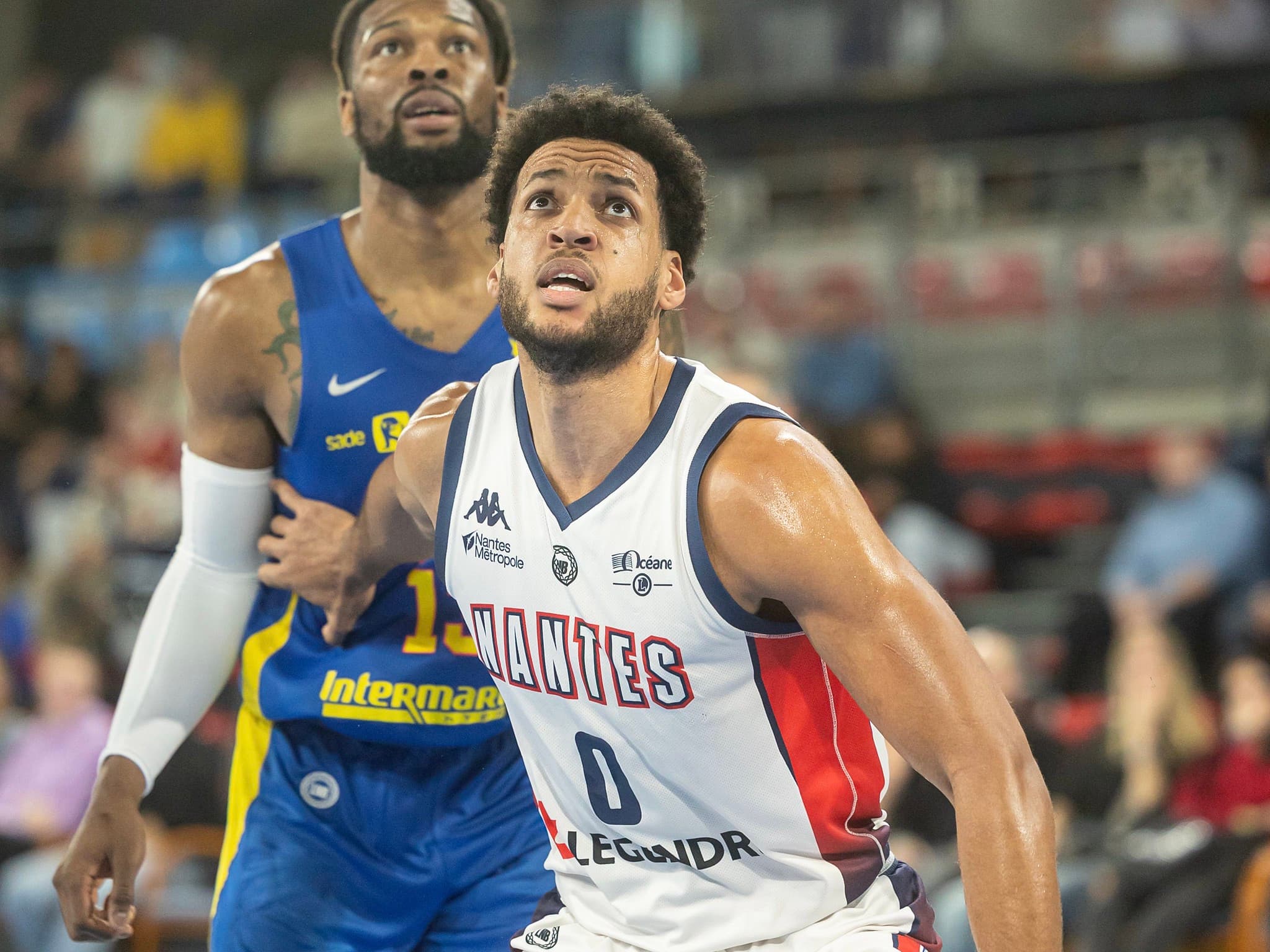 Bryce Nze et Marvin Clark, deux recrues pour l’Élan Béarnais