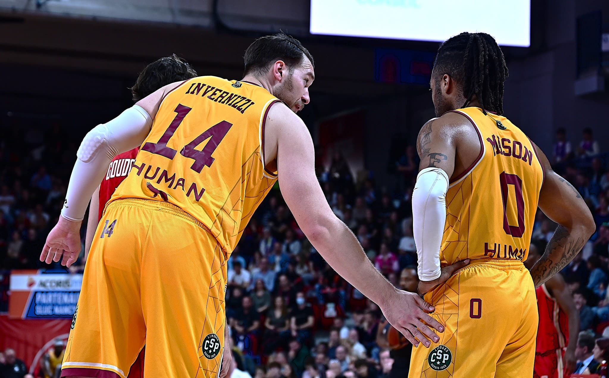 Quatre joueurs de retour à l’entraînement à Limoges !