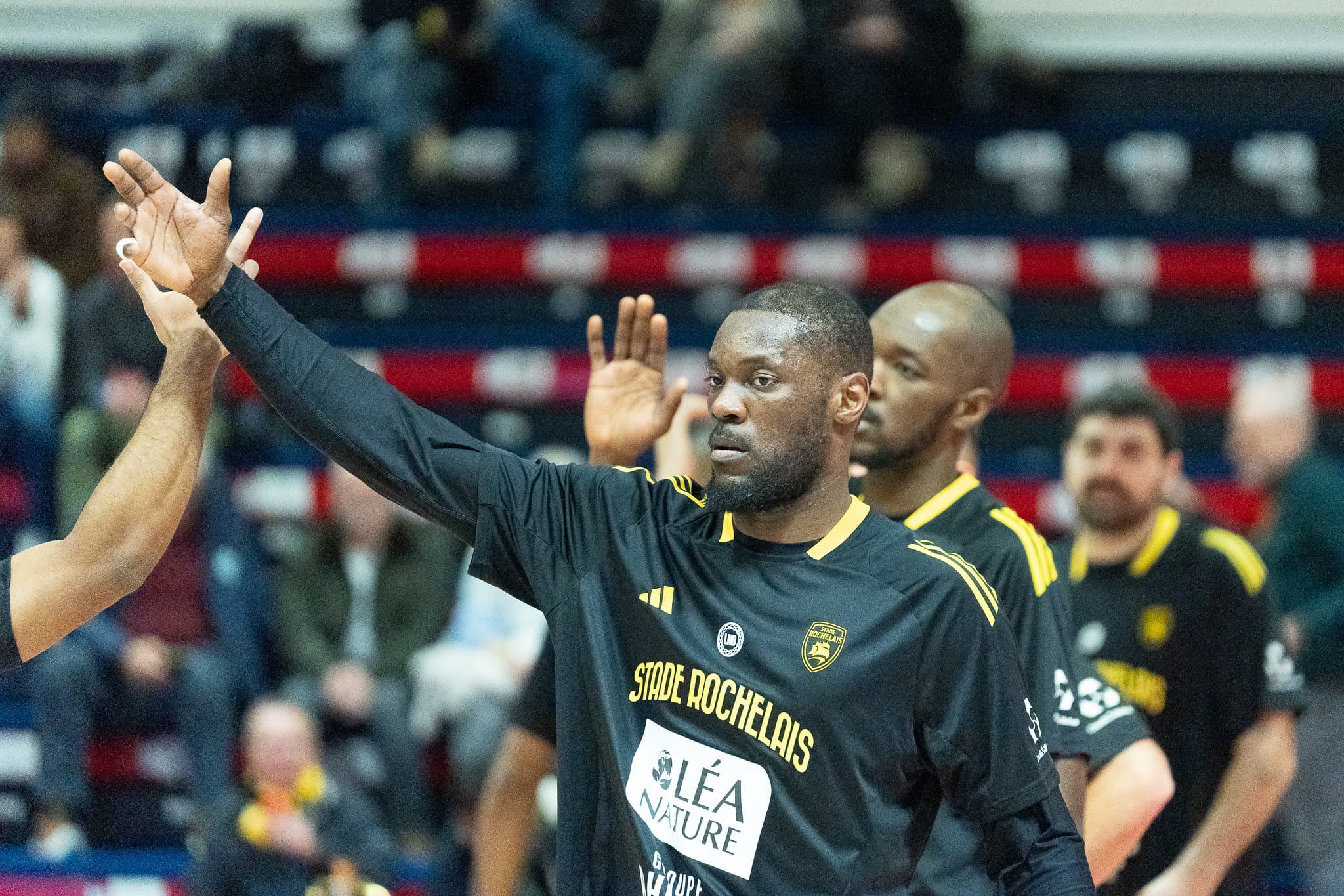 Un Daniel Oladapo record porte La Rochelle face à l’Élan Béarnais