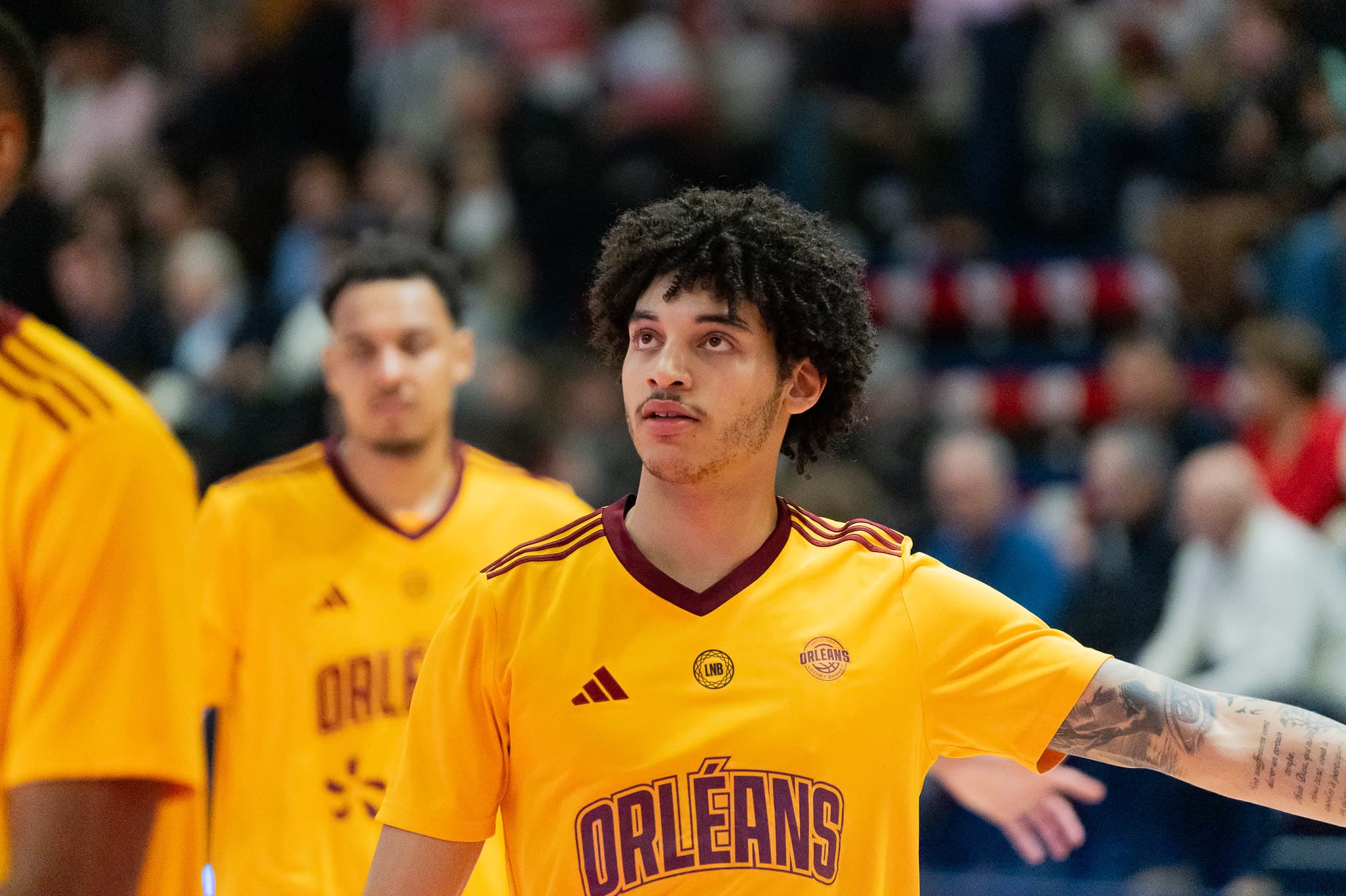 Fin d’aventure à Orléans pour Ilane Fibleuil