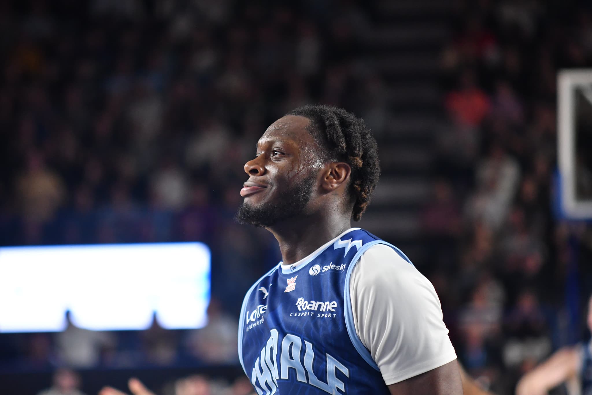 Roanne finit par déborder l’Élan Béarnais