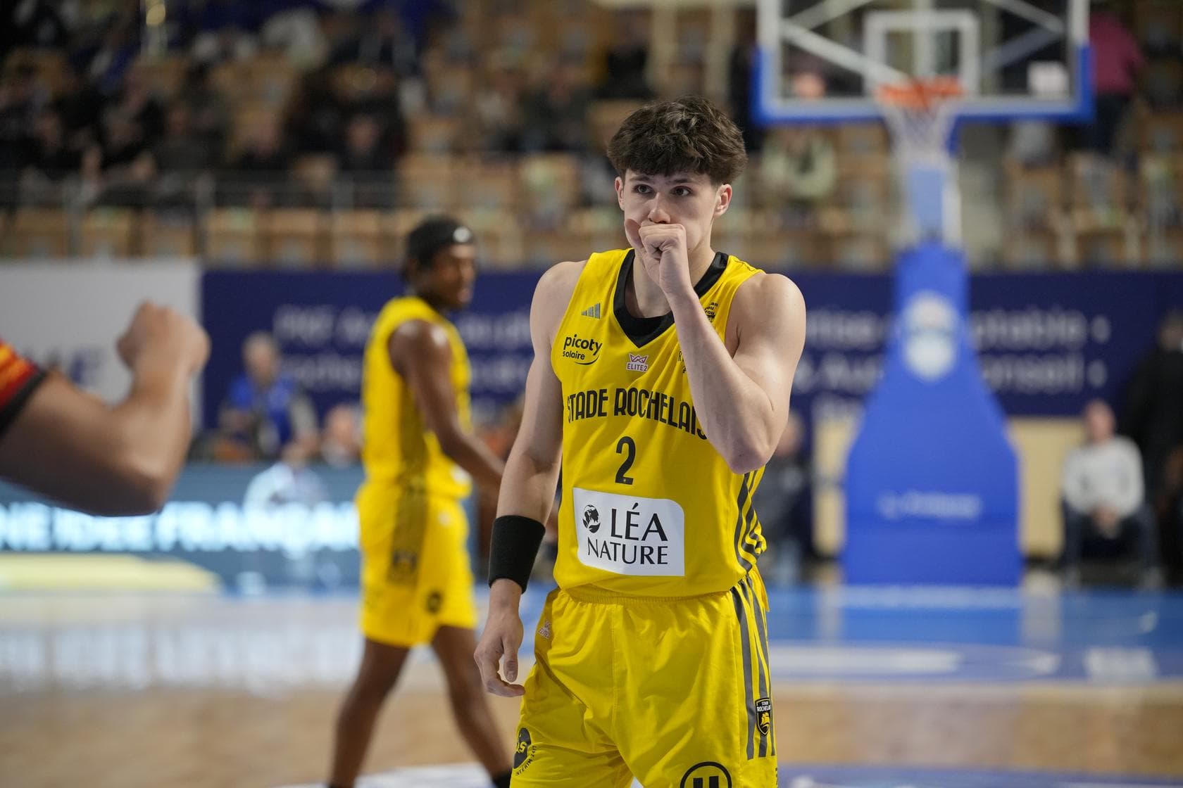 Maxence Lemoine lance La Rochelle : 4 victoires de suite et un plan de jeu qui fonctionne enfin