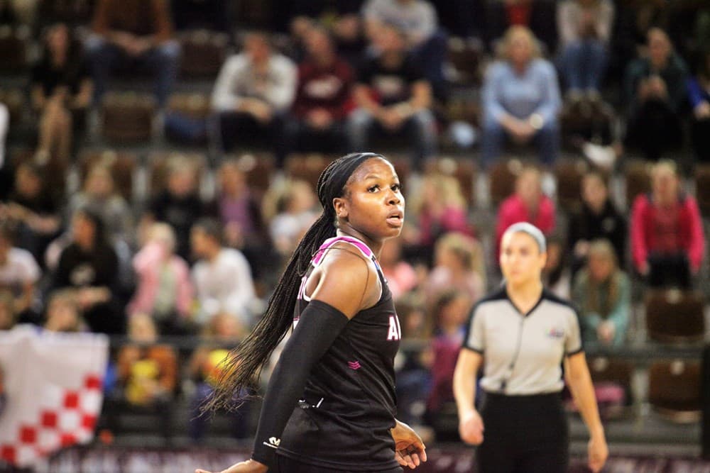 +142 en cumulé pour les Flammes Carolo, Villeneuve d’Ascq et Angers ce mercredi