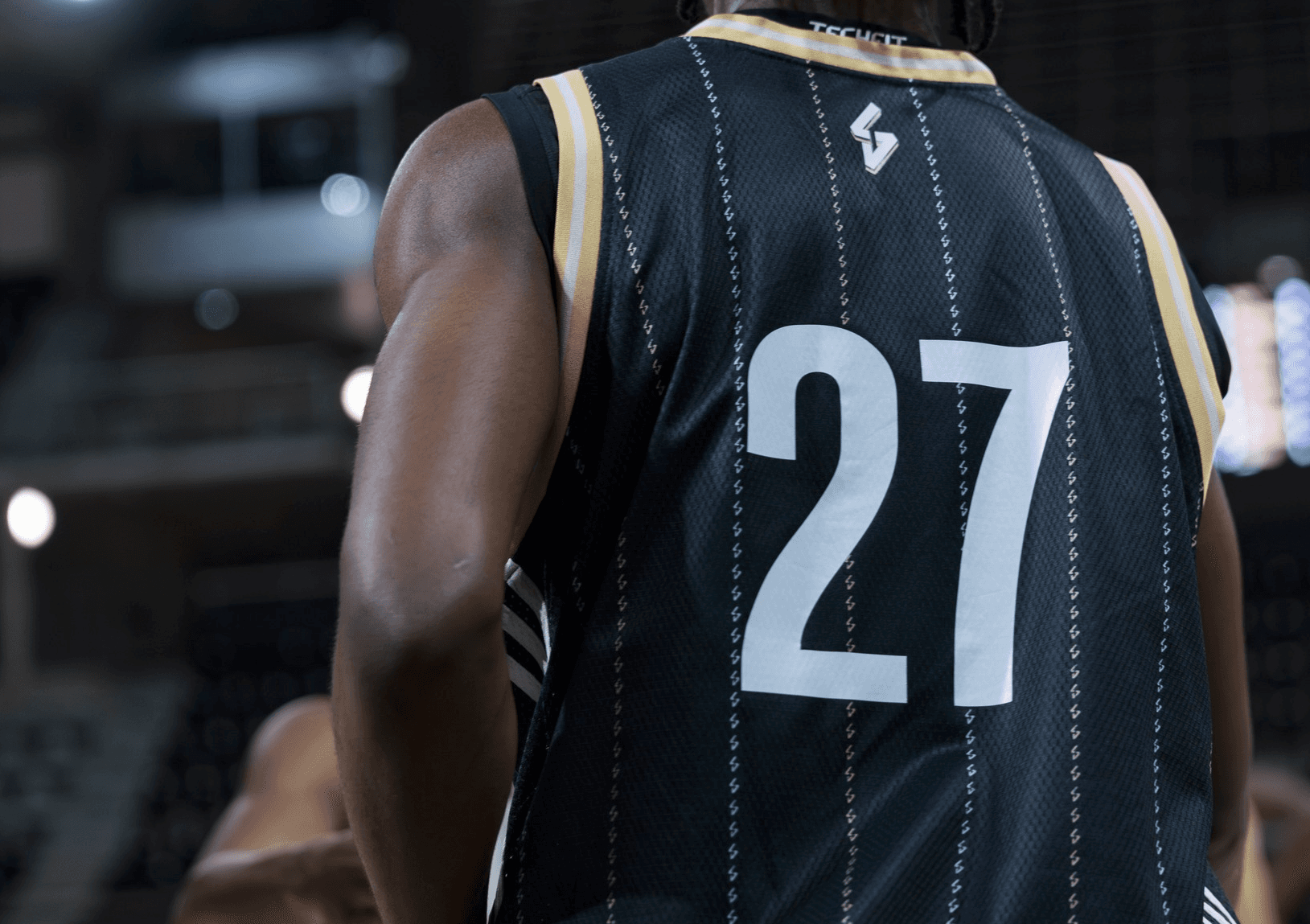 La Chambre régionale des comptes pointe des « dysfonctionnements » dans la gestion de l’association ASVEL