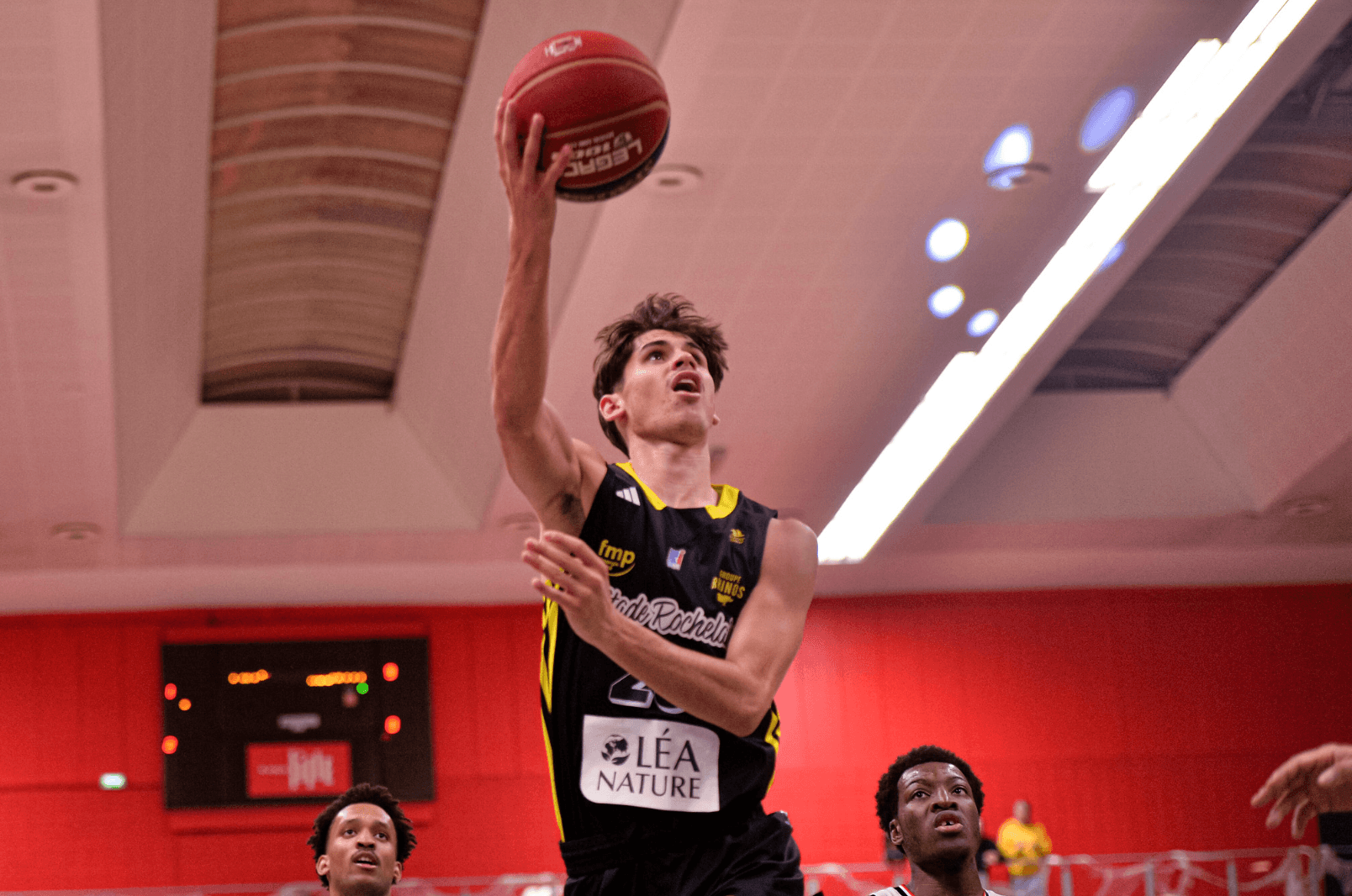 La Rochelle : une domination sans partage en Pro B… pour le moment
