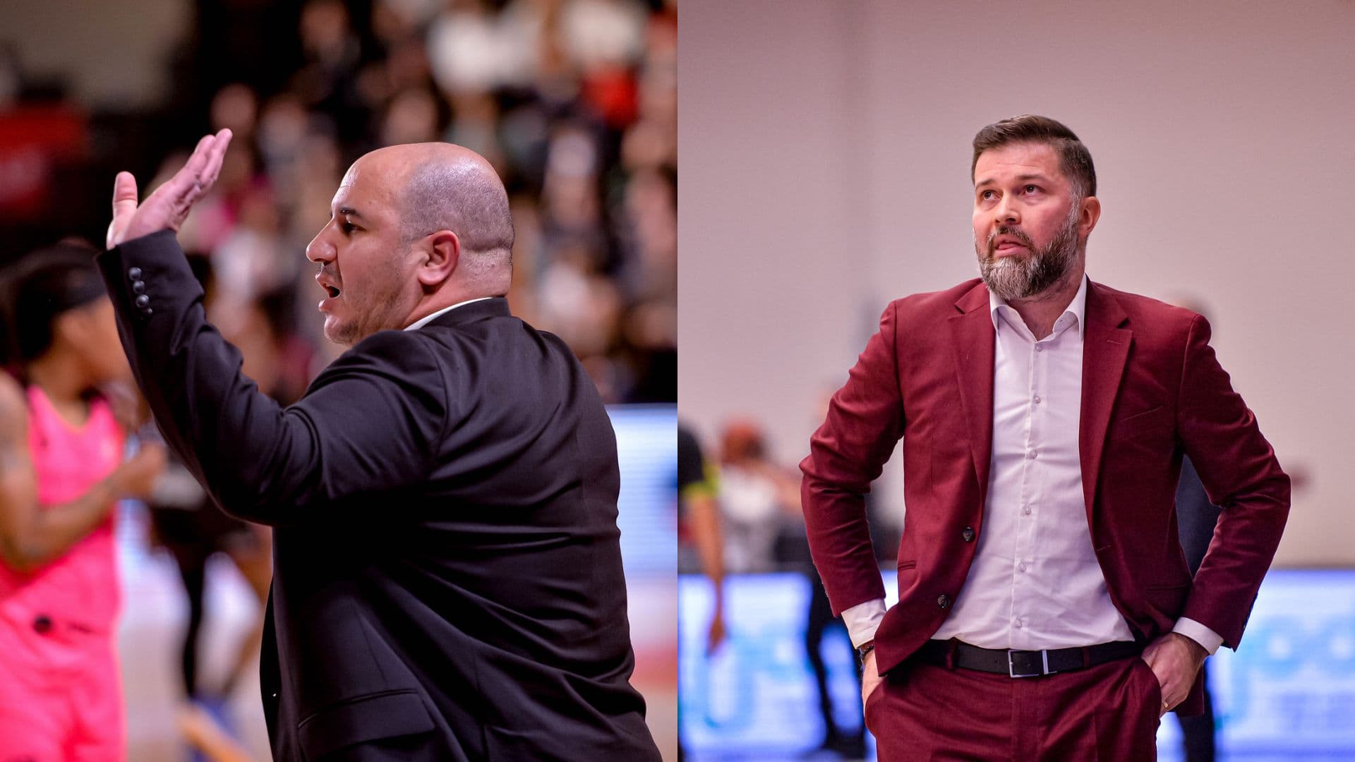 Séisme à Villeneuve-d’Ascq : Rachid Meziane débauché par le Connecticut Sun (WNBA), Maxime Bézin va le remplacer