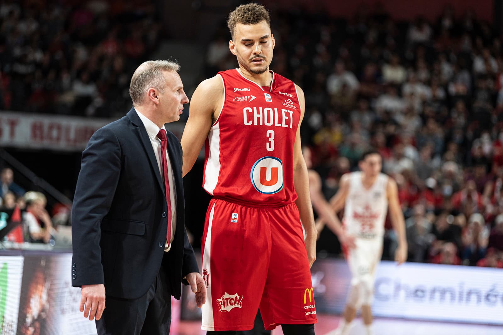 D.J. Hogg jouera pour les Cairns Taipans