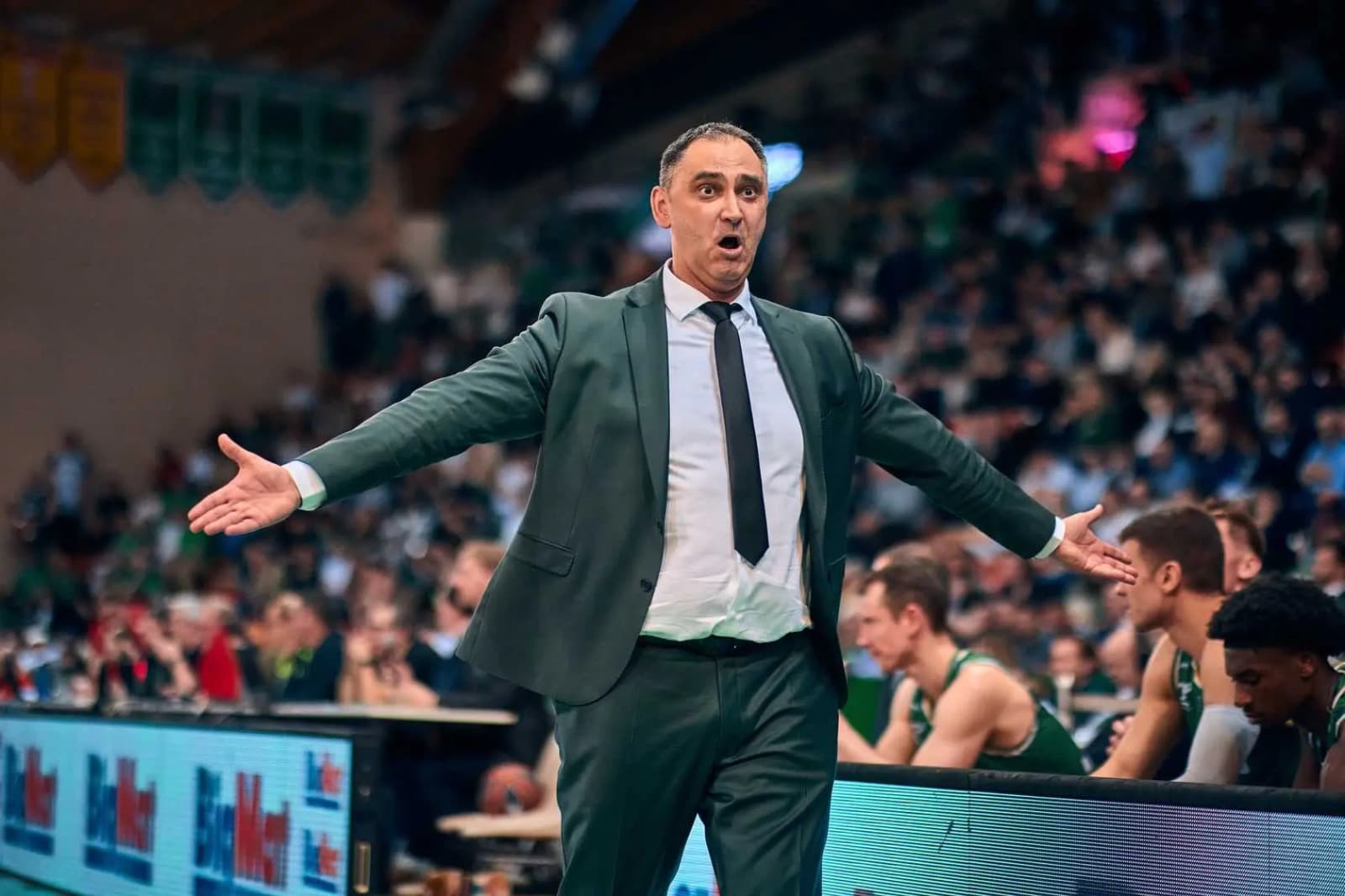 Limoges écarte son entraîneur Dario Gjergja !