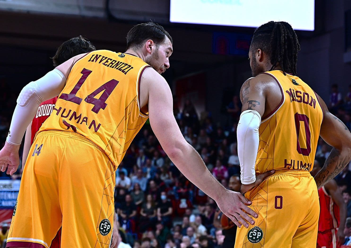 Limoges rompt sa terrible série et enfonce le BCM dans la zone rouge