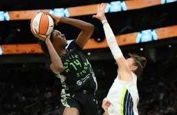 Dominique Malonga s'est distinguée malgré la défaite du New York Liberty.