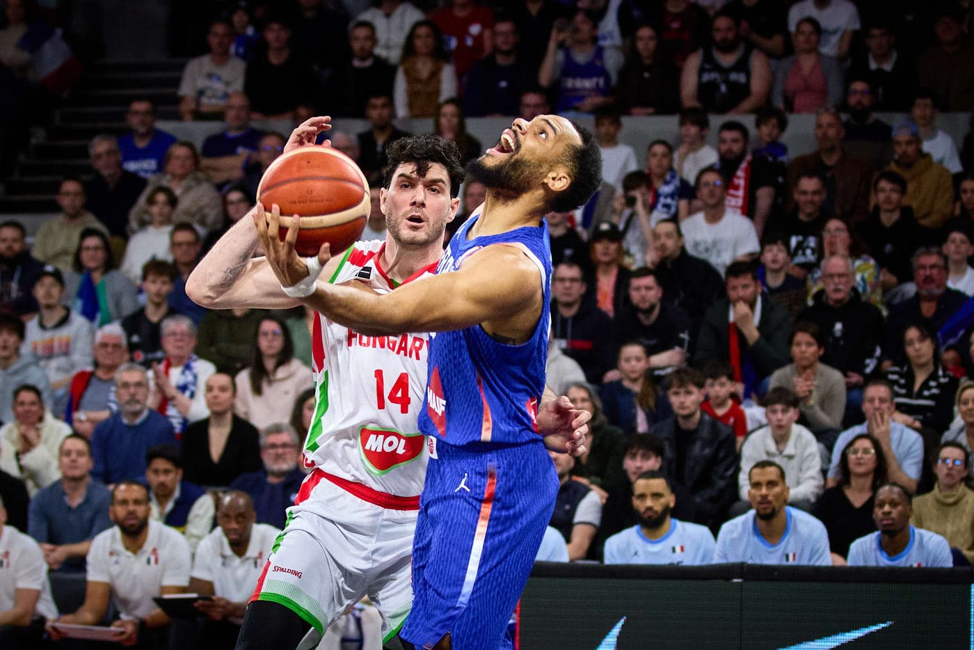 L’équipe de France s’impose sereinement contre la Hongrie et termine la fenêtre internationale sur une bonne note !