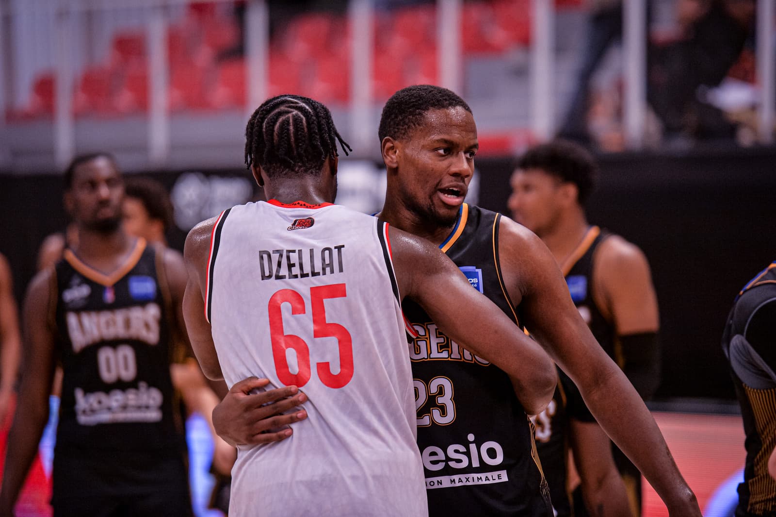 Angers refuse le repêchage en Pro B, Chartres bientôt promu ?