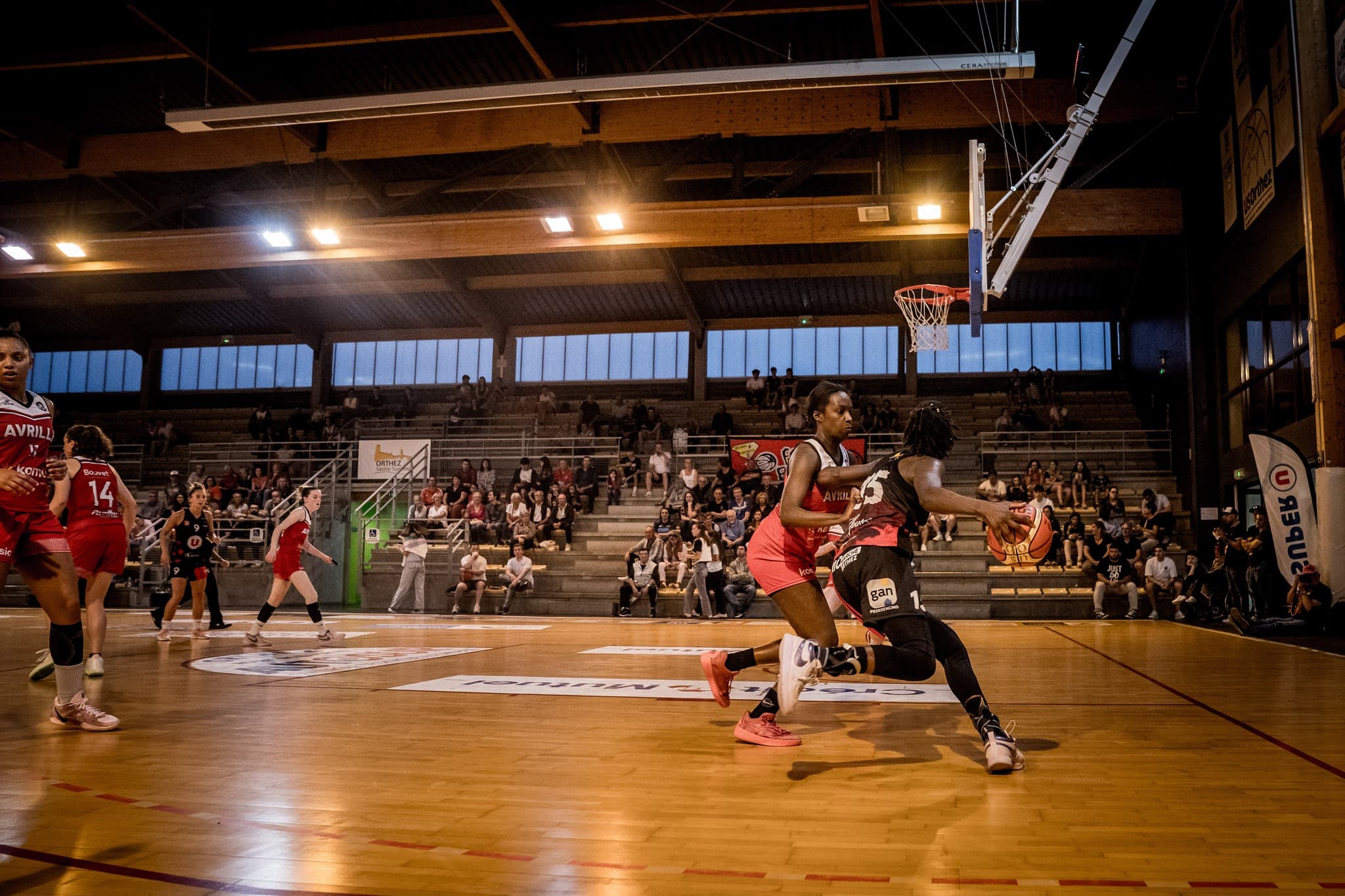 L’Élan Béarnais retrouve son chef lieu passé d’Orthez ce mardi en Coupe de France