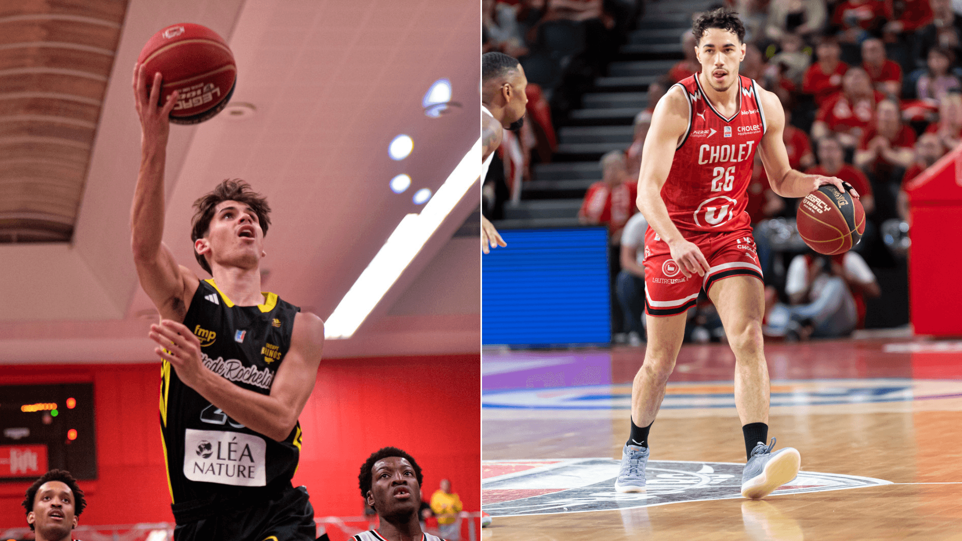 Cholet : Mathéo Leray s’engage à La Rochelle, Enzo Goudou-Sinha finalement conservé ?