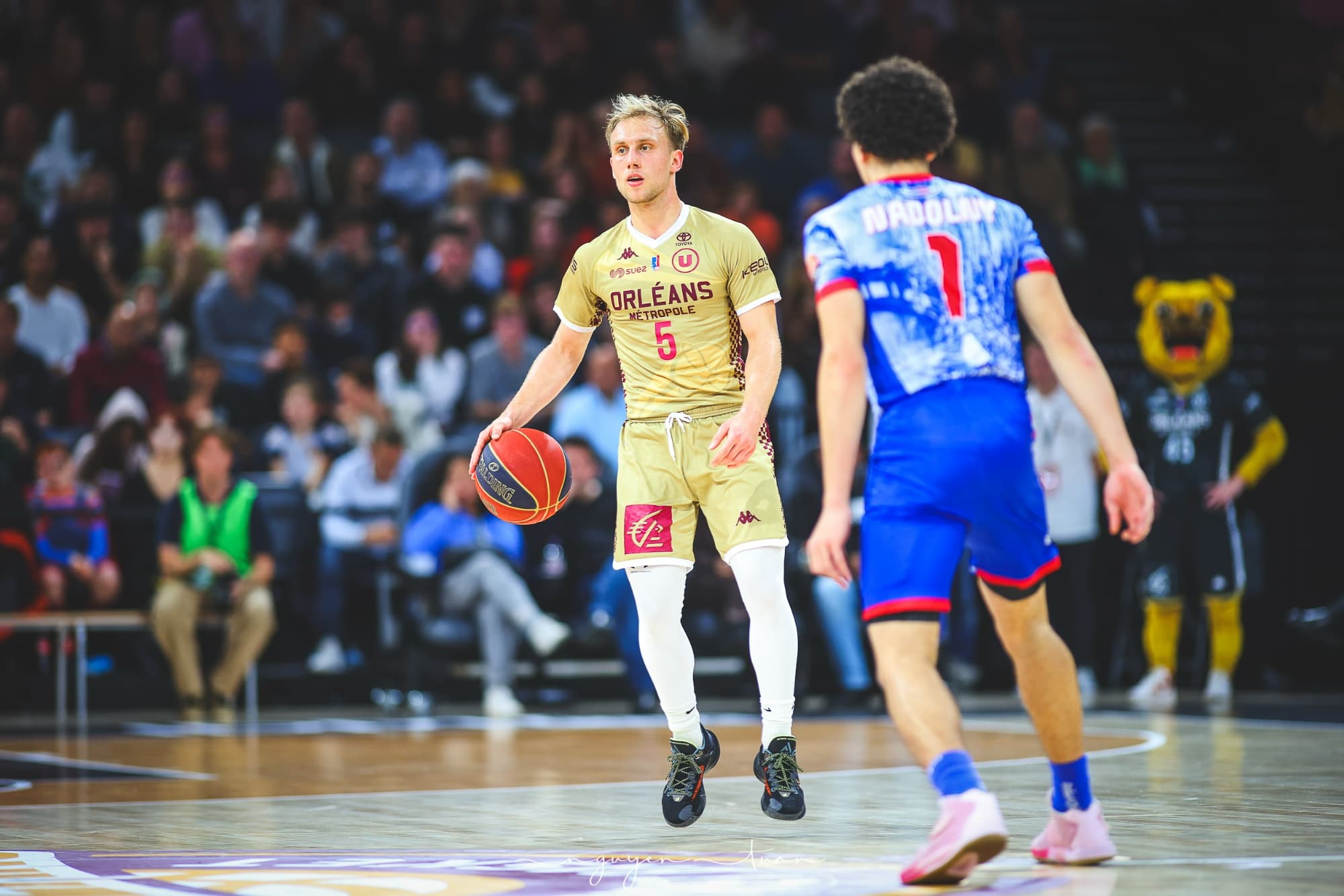 Ludovic Beyhurst (Orléans) de retour pour les playoffs