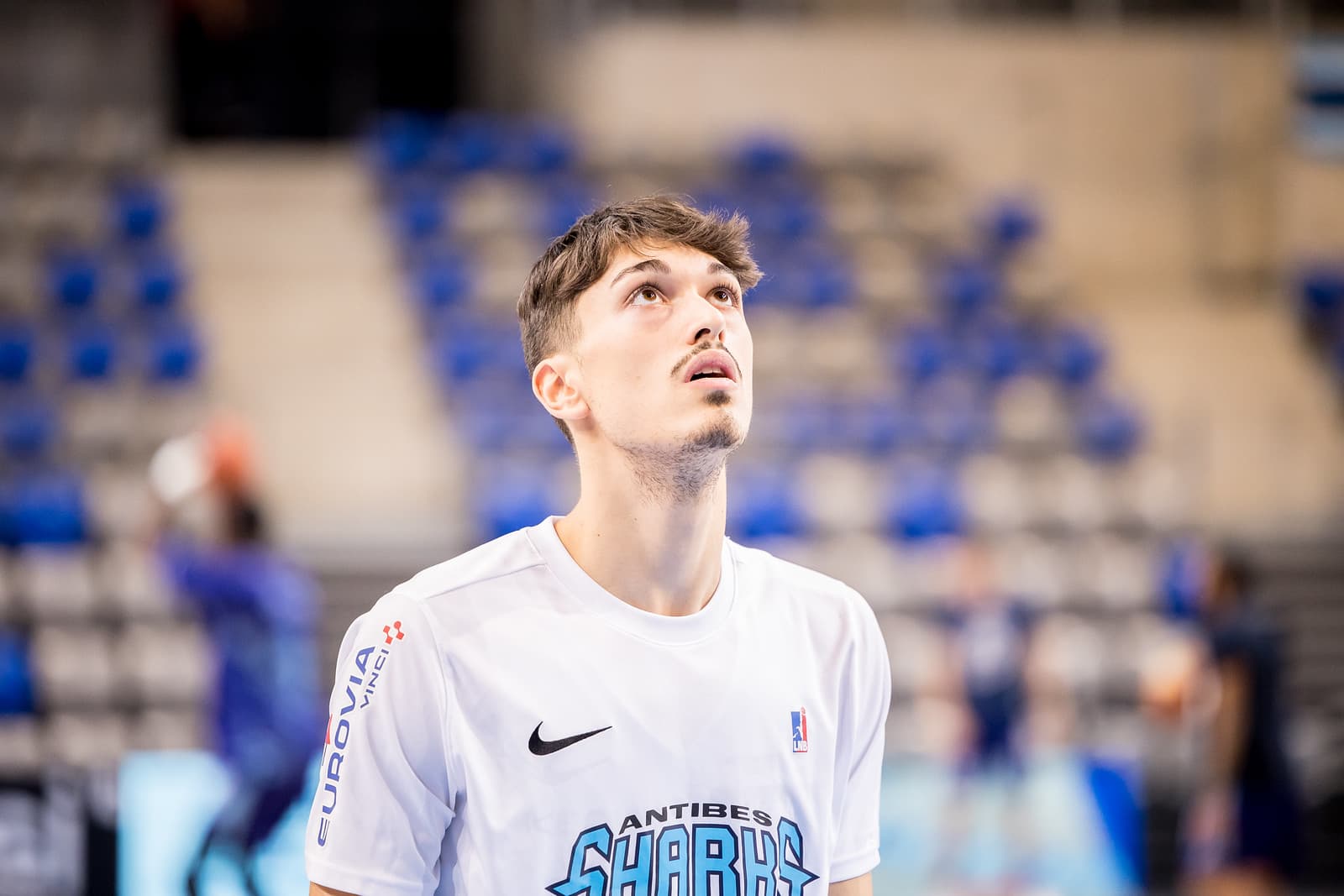 Matthieu Vigneron, Tristan Pothion et Steven Cayol rejoignent Avignon
