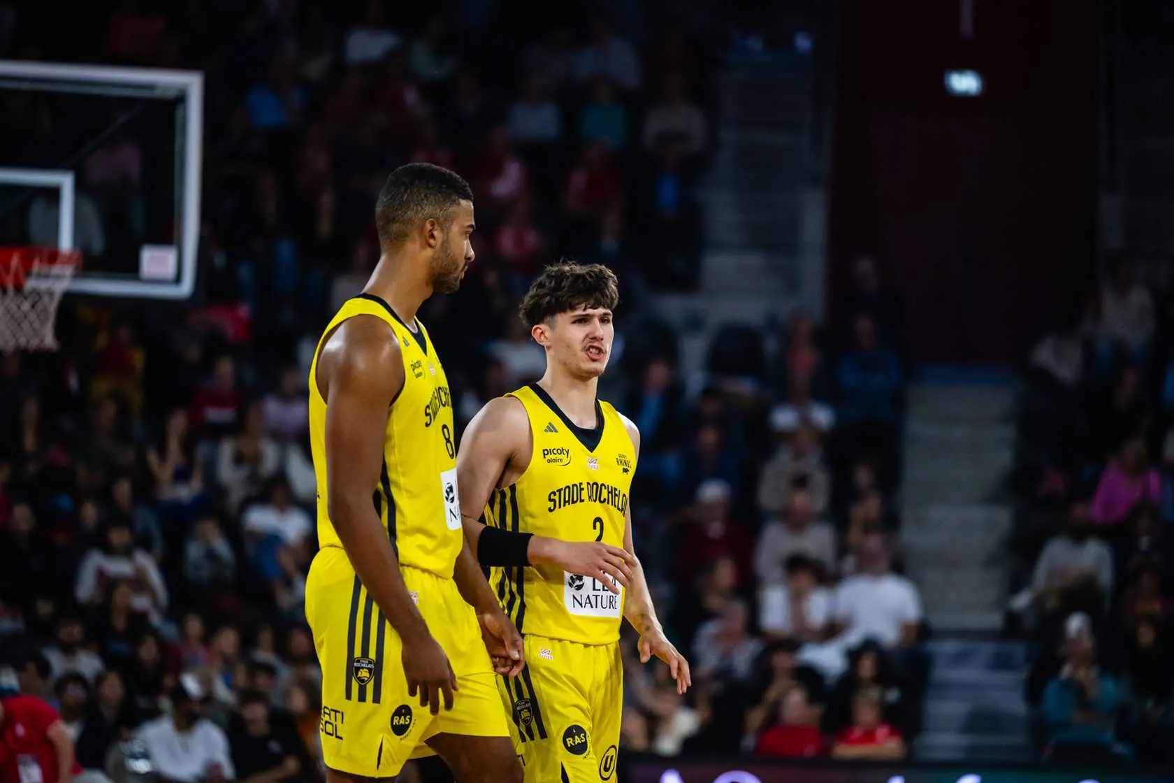 Après 50 minutes de combat contre Le Mans, le Stade Rochelais perd Maxence Lemoine