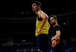 Nando De Colo a vite retrouvé ses marques chez le Fenerbahçe Istanbul