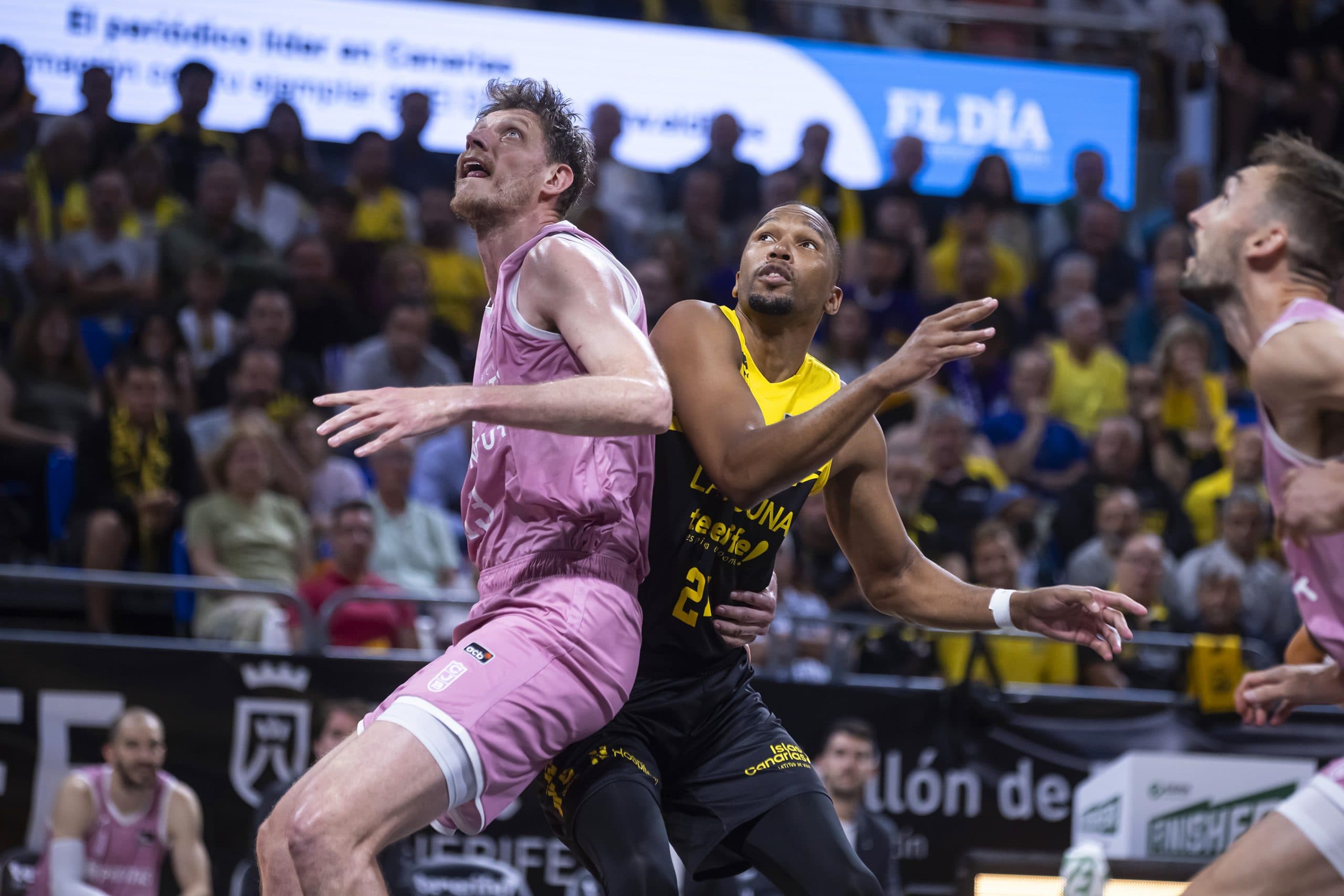 Espagne : Albicy et Pelos éliminés avec Gran Canaria, Morin et Tenerife vont jouer les demi-finales