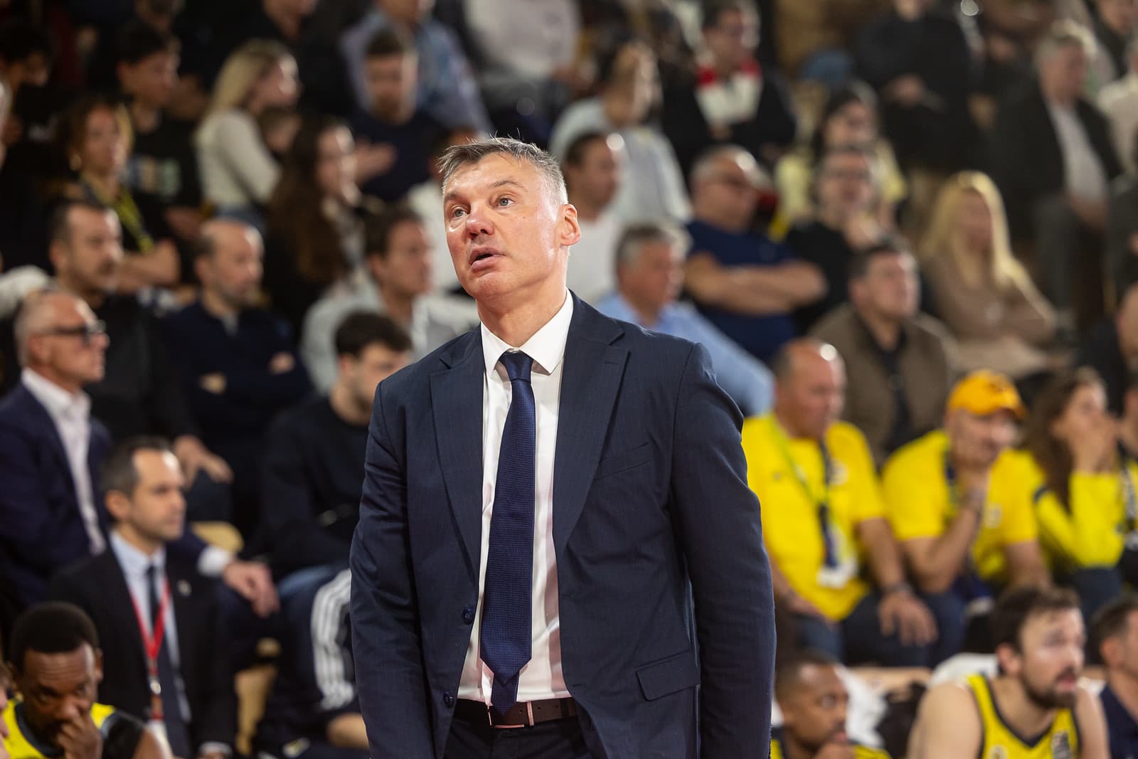 Le Fenerbahçe et la NBA en Europe : « Nous cherchons la voie idéale »