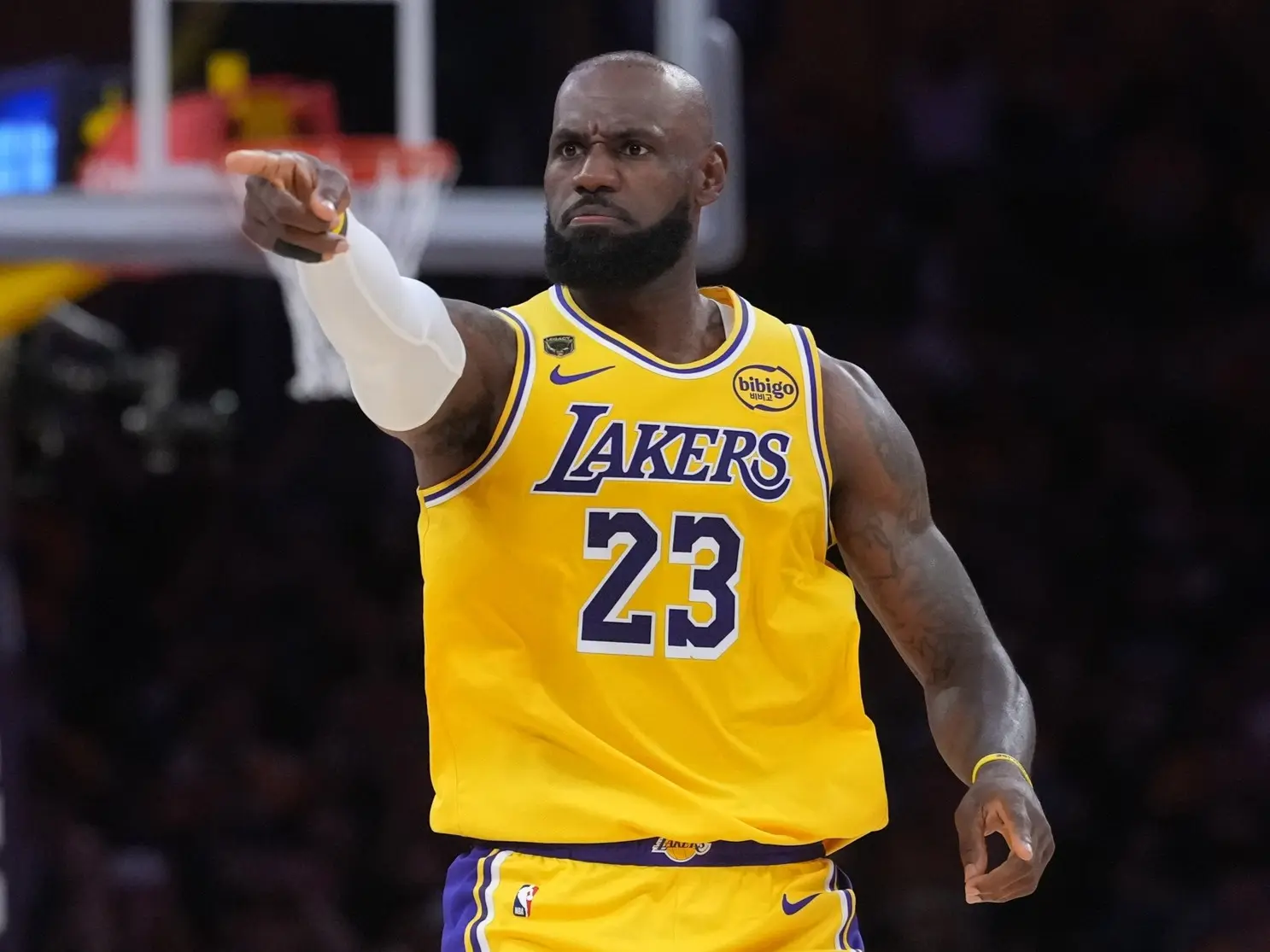 LeBron James obsédé par les Playoffs : « ça fait 20 ans que je ne pense qu’à ça »