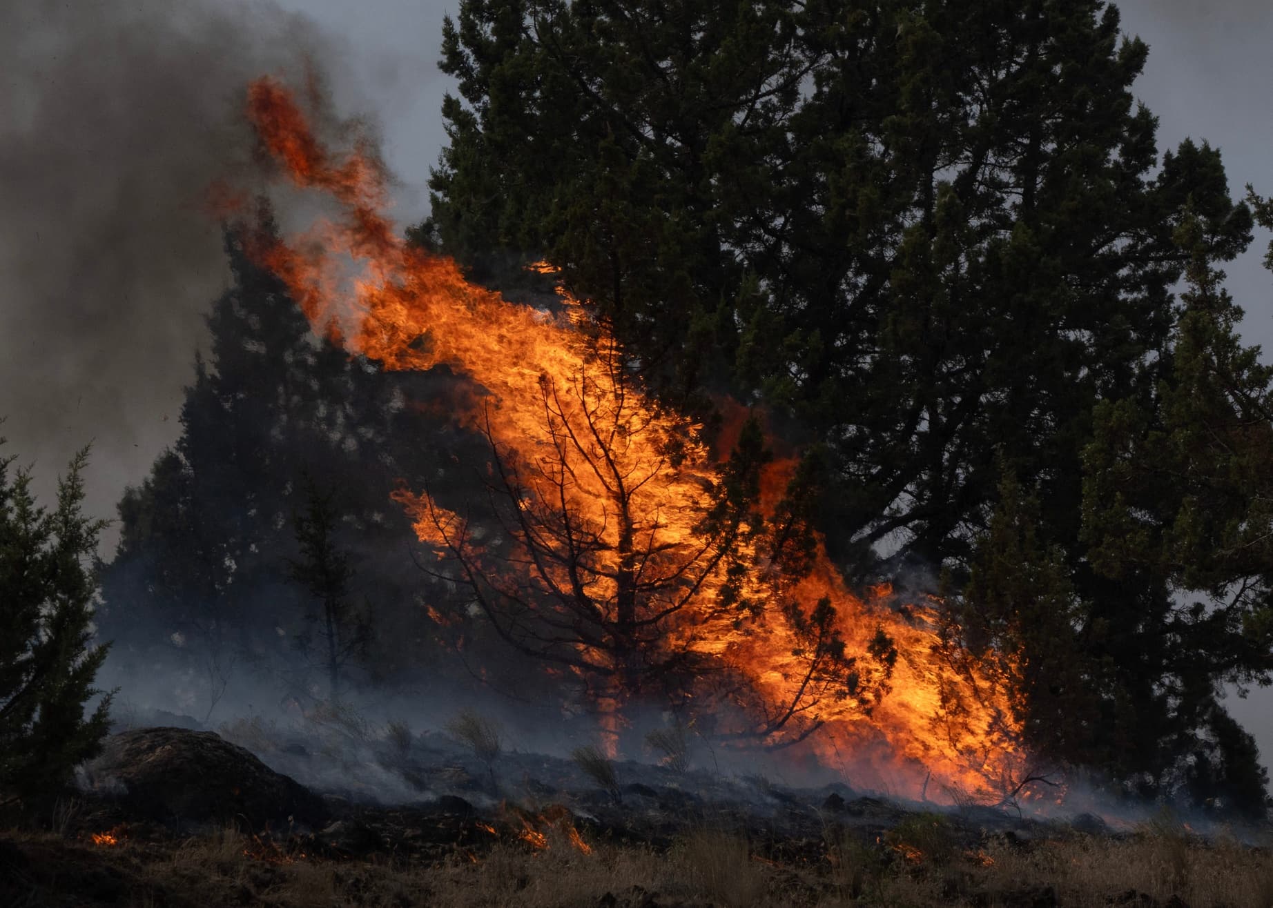 Le HTV se mobilise pour les victimes des incendies du Var et les sapeurs-pompiers
