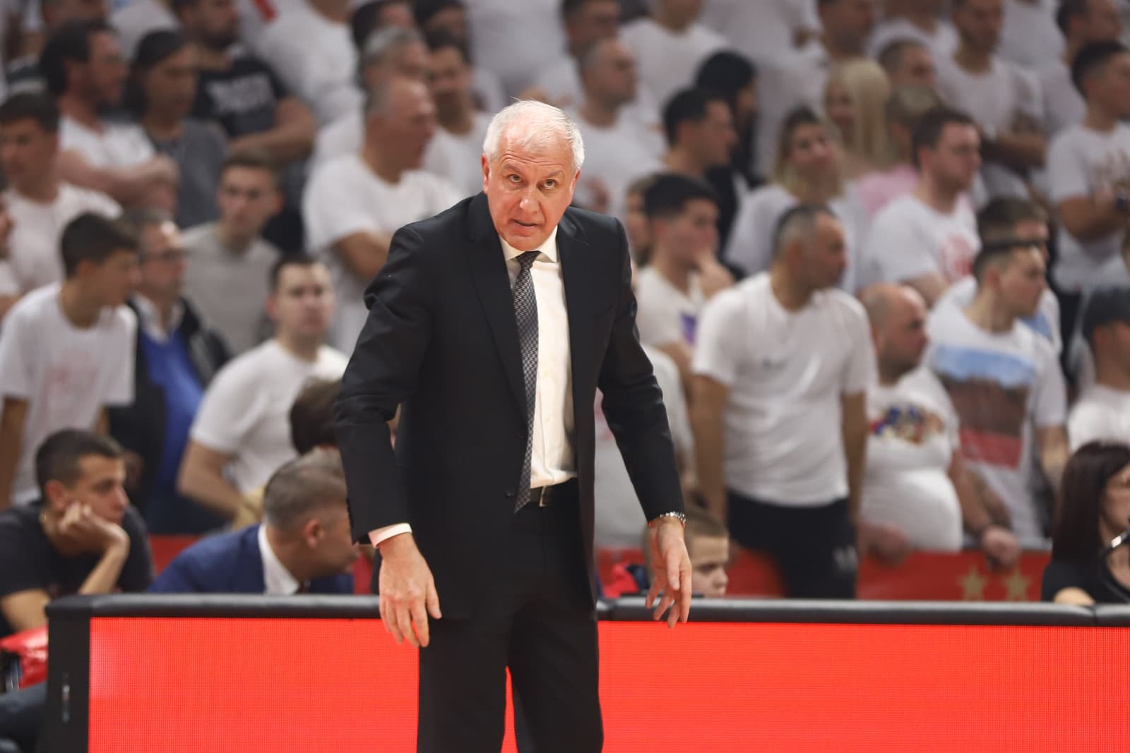 Željko Obradović accueilli en héros à Belgrade malgré sa démission du Partizan