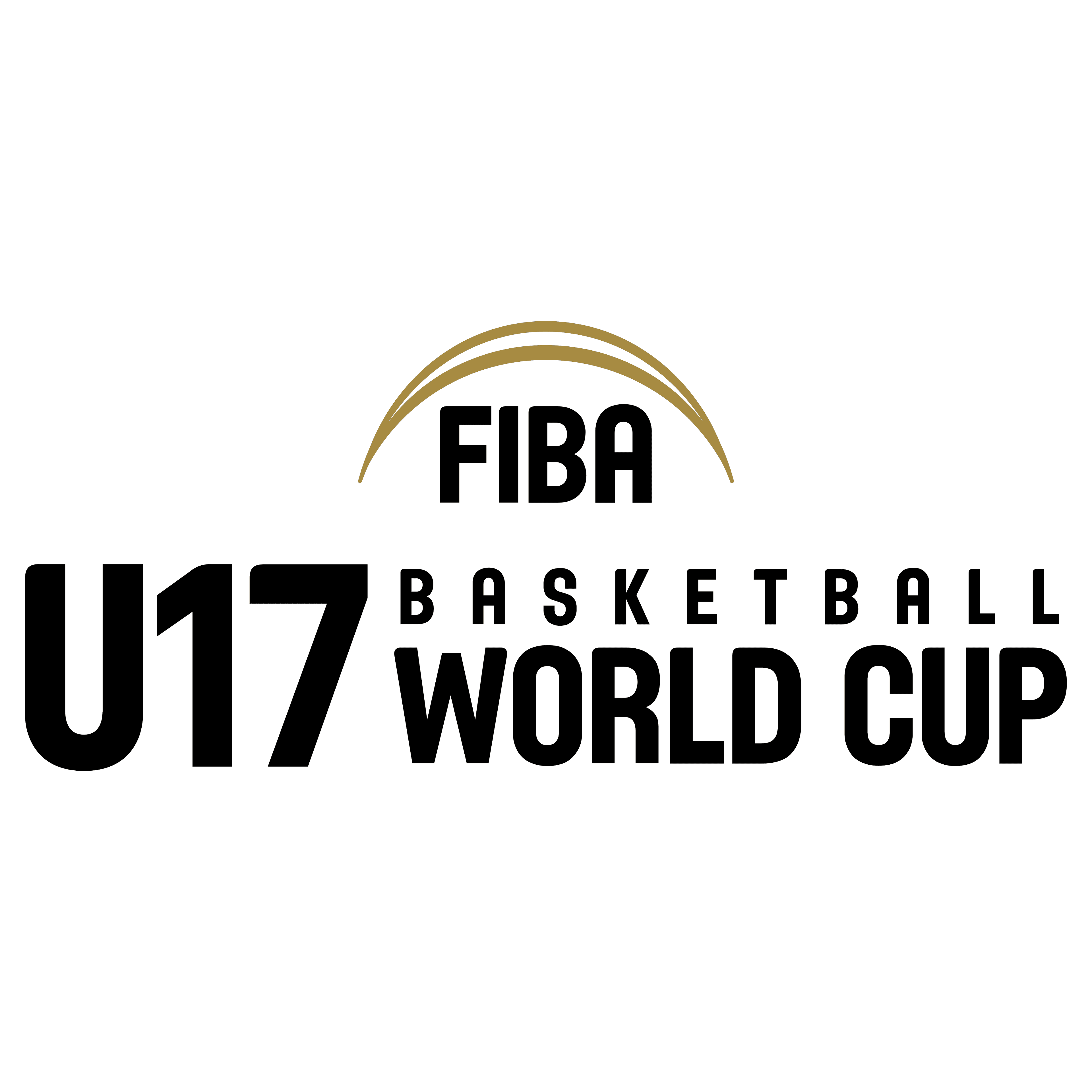 Coupe du Monde U17