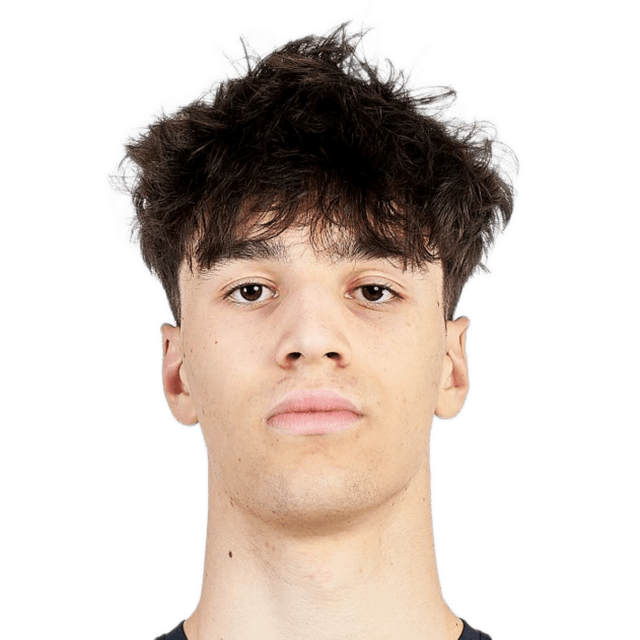 Alexandru-Stefan Hategan