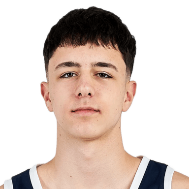 Andrija VULIC