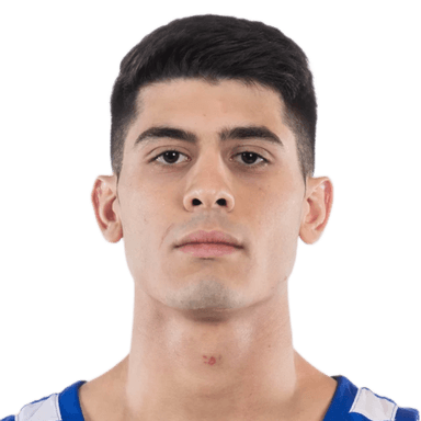 Apostolos NIKOLAIDIS