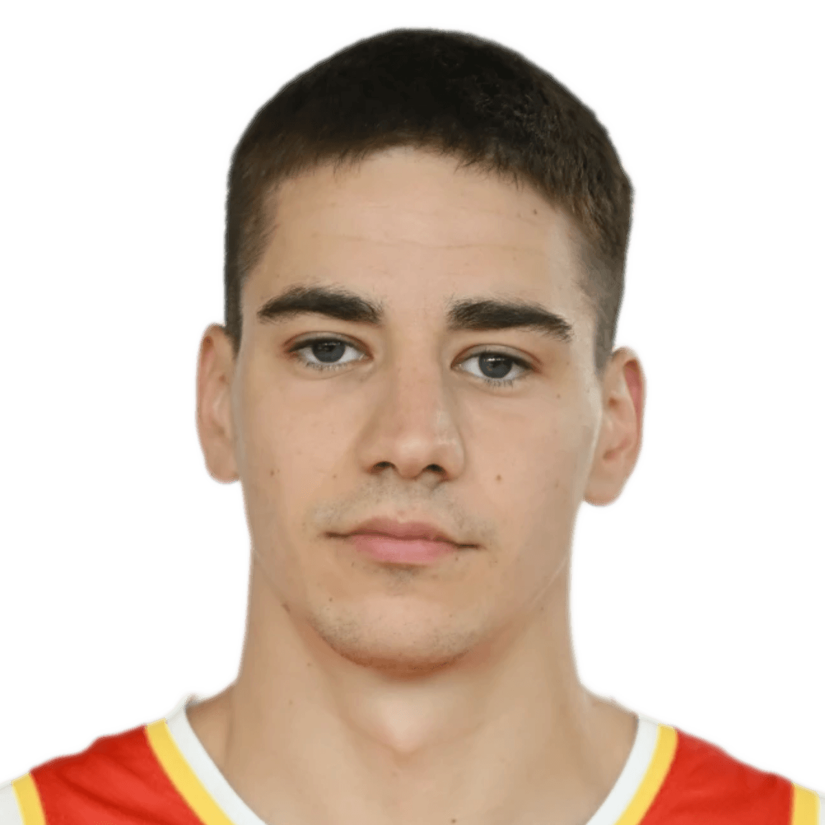 Balsa ZIVANOVIC