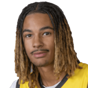 Mathys NTEMO