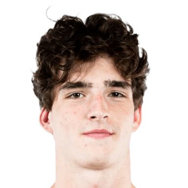 Guillaume DE MOL