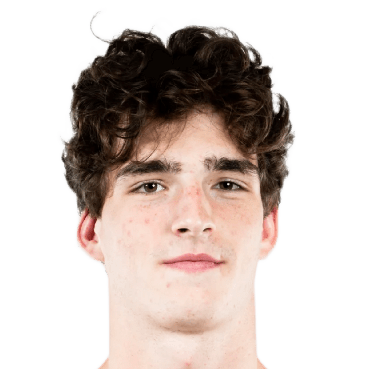 Guillaume DE MOL