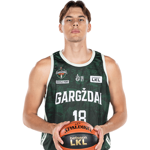 paulius_kulikauskas_2026-2027_16-9.png